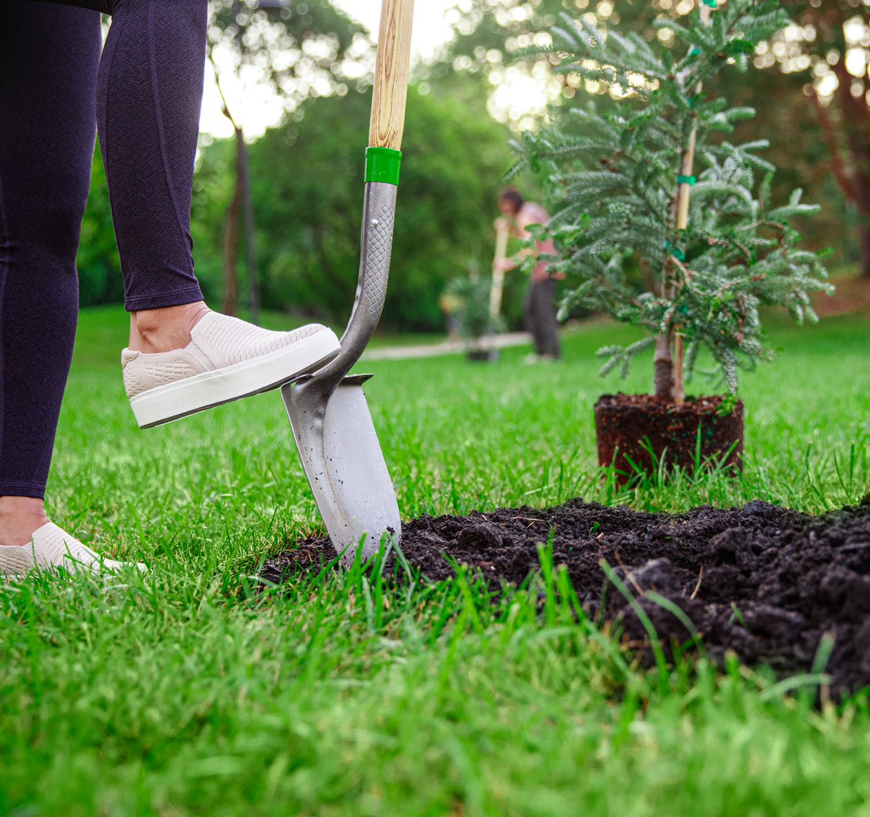 Image of a foot on the edge of a shovel pushing it down into dirt and grass