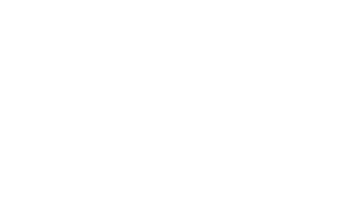 Stuart Weitzman logo