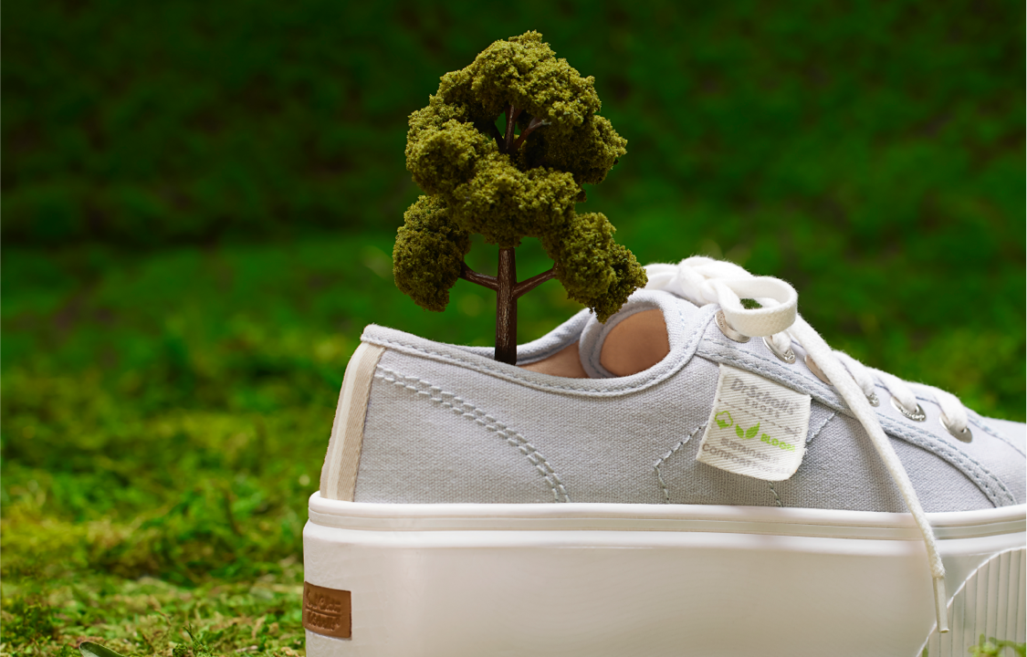 small tree in a Dr. Scholl's Shoe